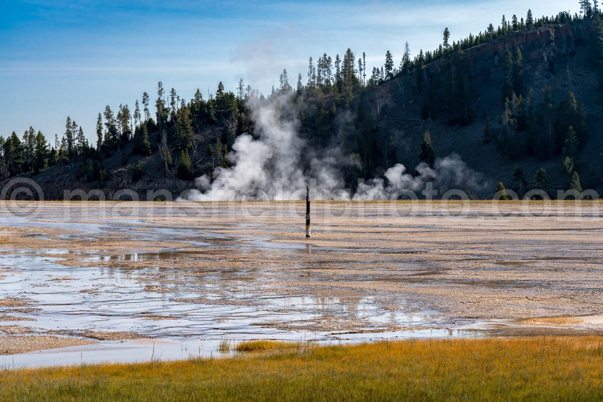 Near Grand Prismatic Spring In Yellowstone National Park A4-17829