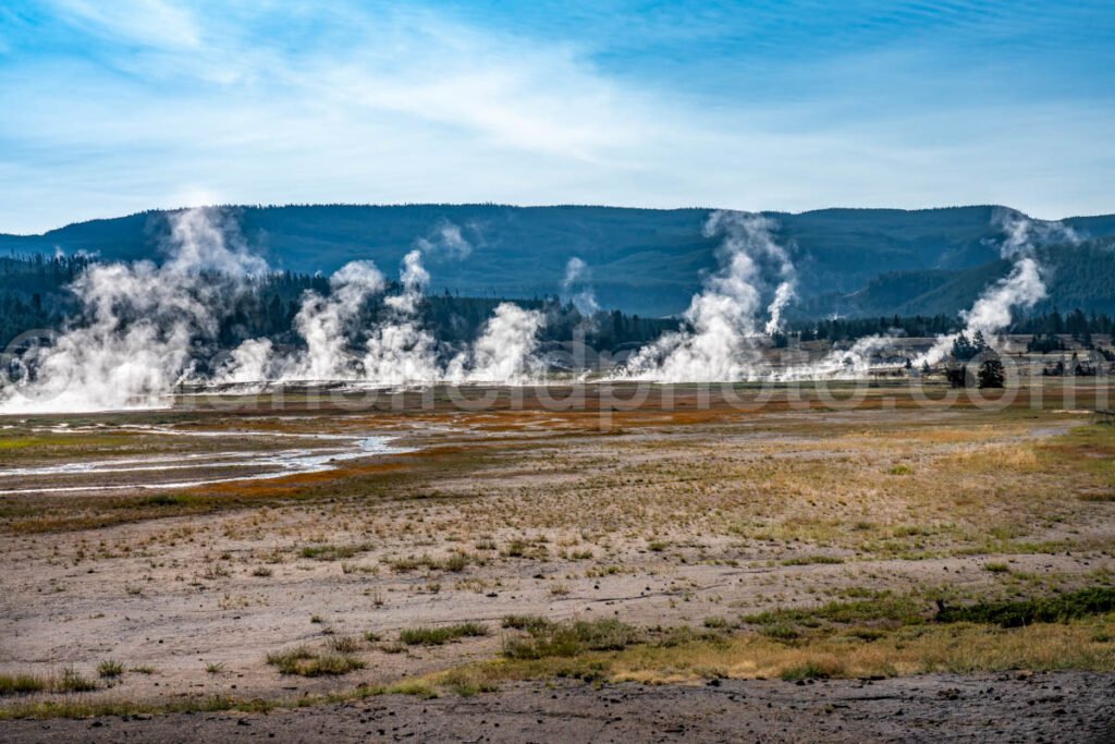 Near Grand Prismatic Spring in Yellowstone National Park A4-17833 - Mansfield Photography