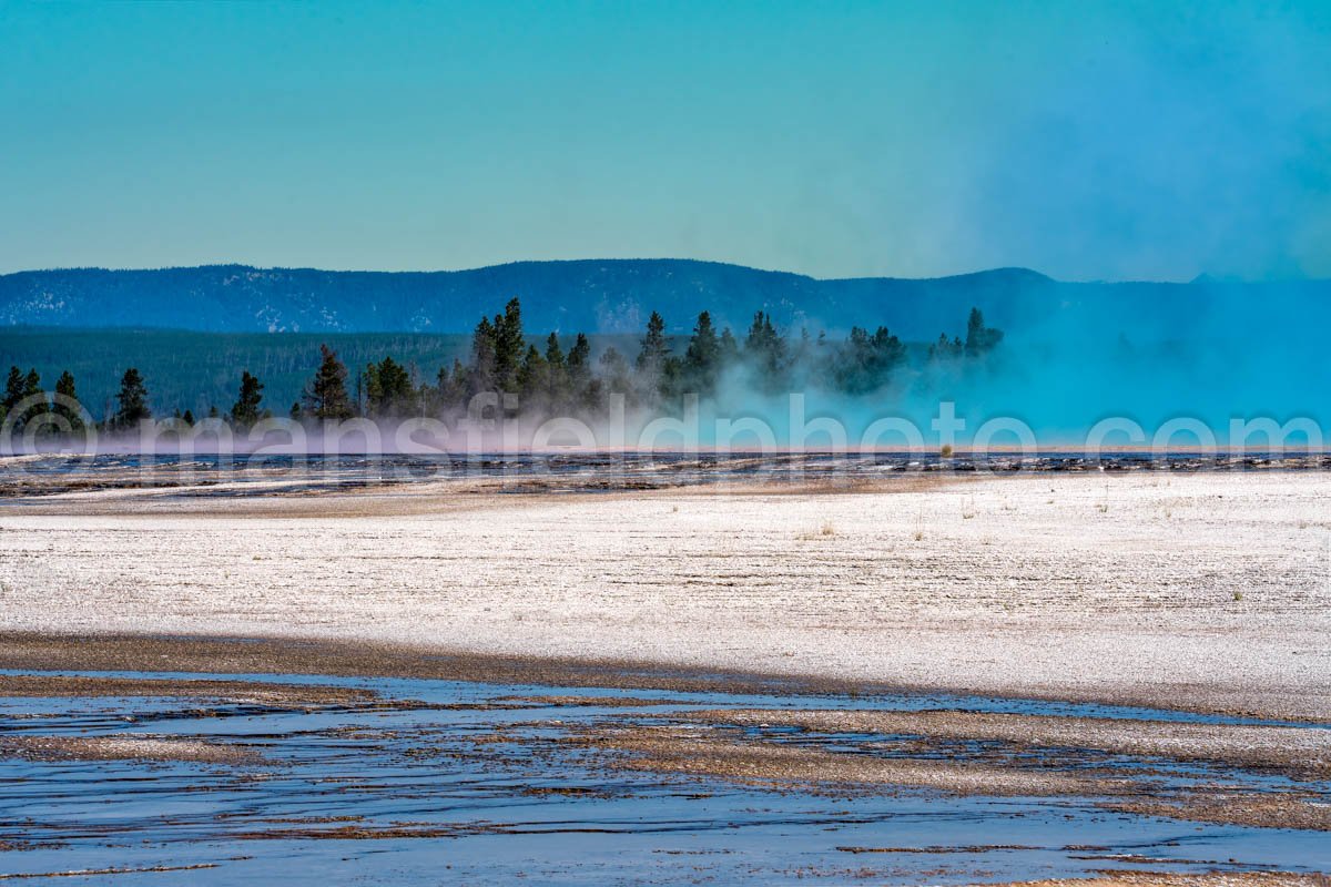 Near Grand Prismatic Spring In Yellowstone National Park A4-17845