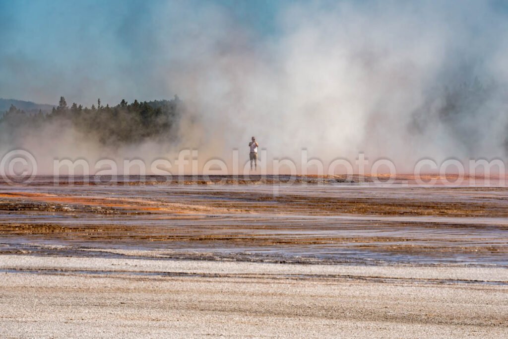 Near Grand Prismatic Spring In Yellowstone National Park A4-17856 - Mansfield Photography