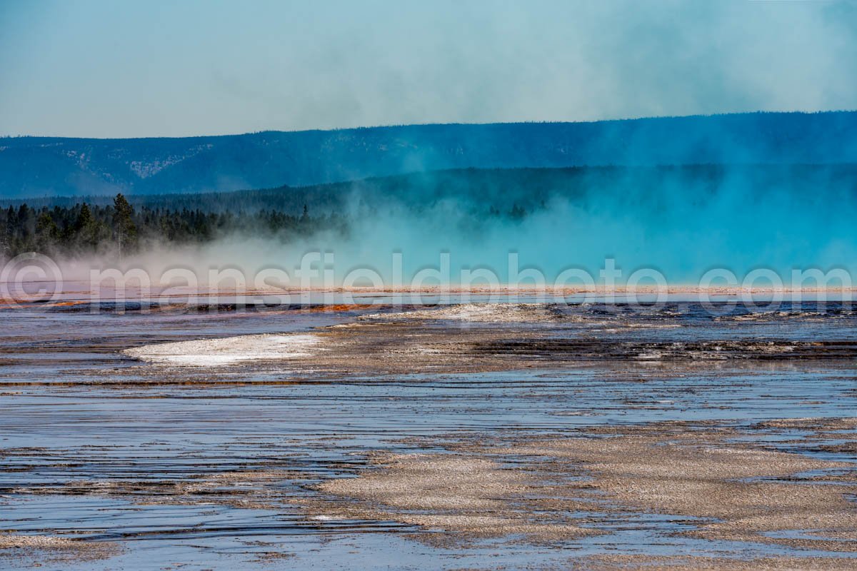 Near Grand Prismatic Spring In Yellowstone National Park A4-17858