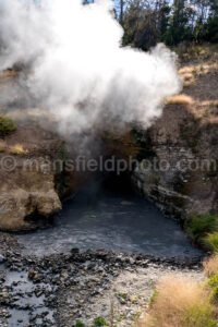 Hot Spring In Yellowstone National Park A4-17886 - Mansfield Photography