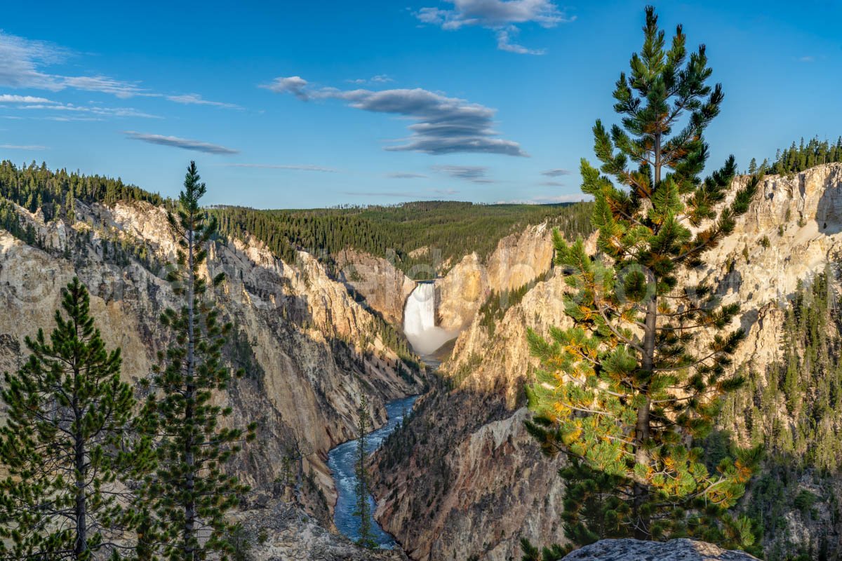 Lower Falls In Yellowstone National Park A4-18028