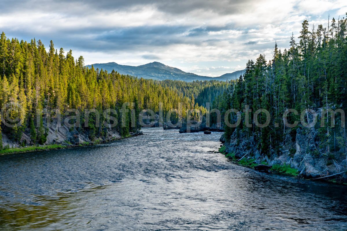 Upper Yellowstone River – Yellowstone National Park A4-18039