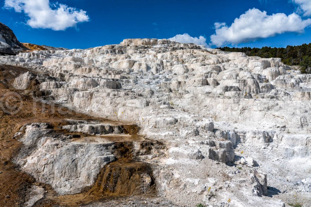 Mammoth Hot Springs, Yellowstone National Park A4-18109 - Mansfield Photography