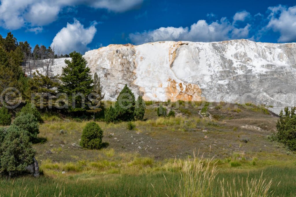 Mammoth Hot Springs, Yellowstone National Park A4-18114 - Mansfield Photography