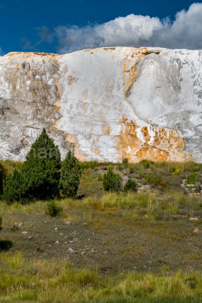 Mammoth Hot Springs, Yellowstone National Park A4-18120 - Mansfield Photography