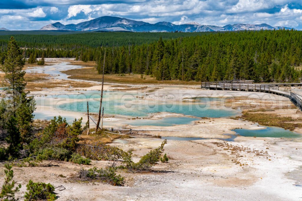 Norris Basin, Yellowstone National Park A4-18135 - Mansfield Photography