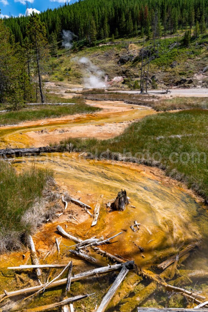 Artist Paintpot, Yellowstone National Park A4-18148 - Mansfield Photography