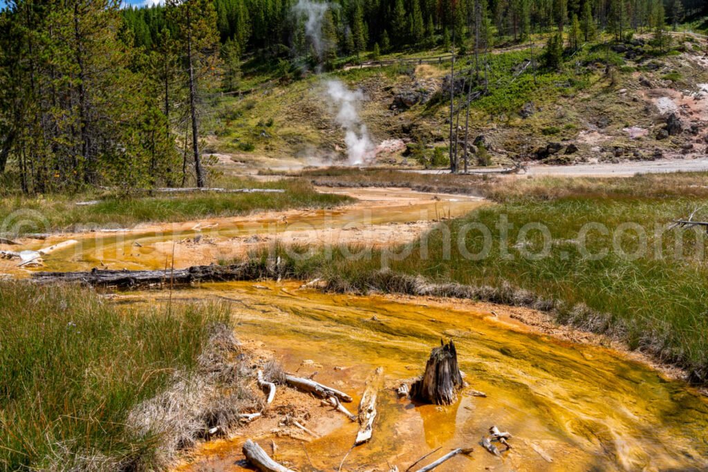 Artist Paintpot, Yellowstone National Park A4-18151 - Mansfield Photography