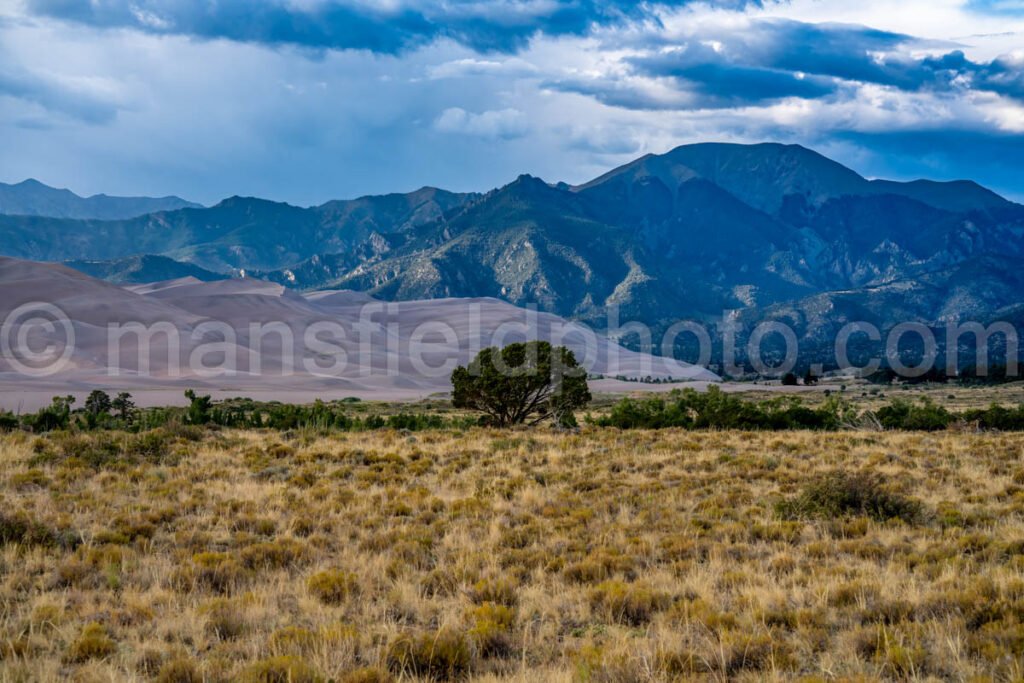 Great Sand Dunes National Park A4-18501 - Mansfield Photography