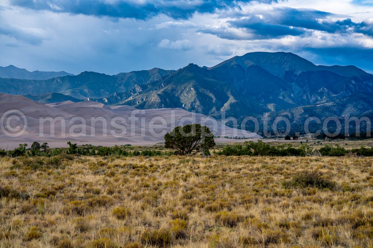 Great Sand Dunes National Park A4-18501