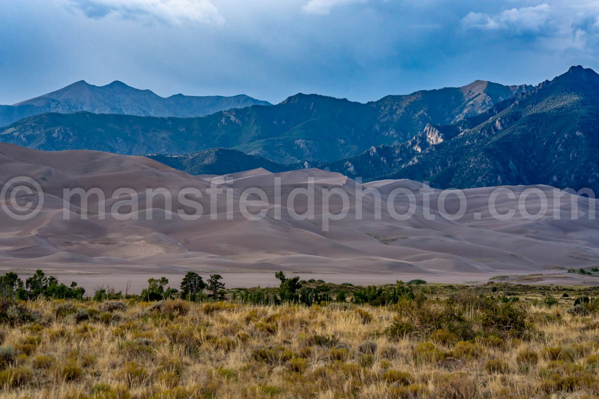 Great Sand Dunes National Park A4-18506