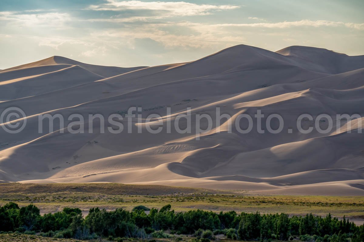 Great Sand Dunes National Park A4-18525