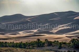 Great Sand Dunes National Park A4-18528 - Mansfield Photography