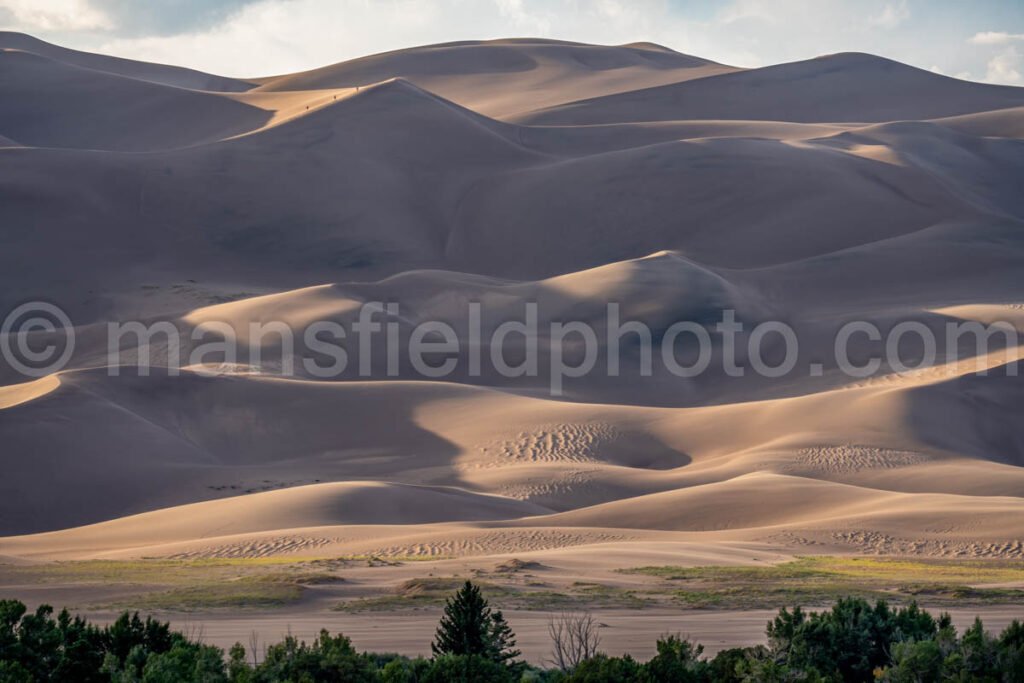 Great Sand Dunes National Park A4-18552 - Mansfield Photography