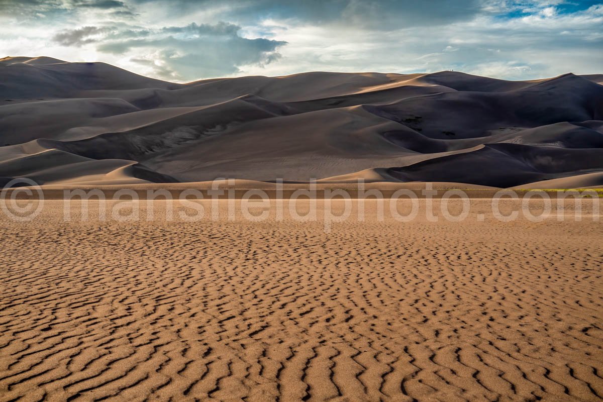 Great Sand Dunes National Park A4-18571