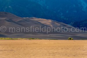 Great Sand Dunes National Park A4-18619 - Mansfield Photography