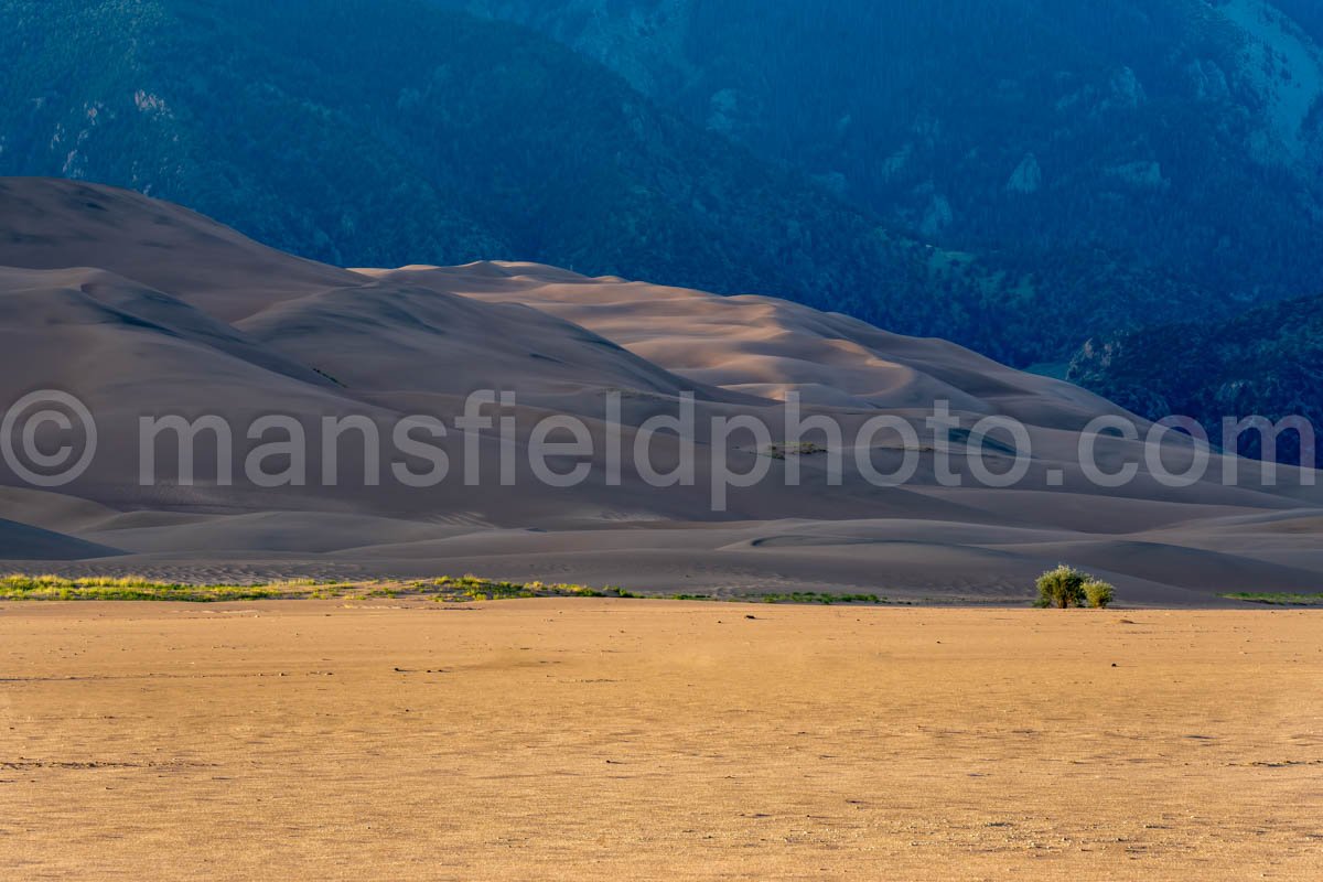 Great Sand Dunes National Park A4-18619