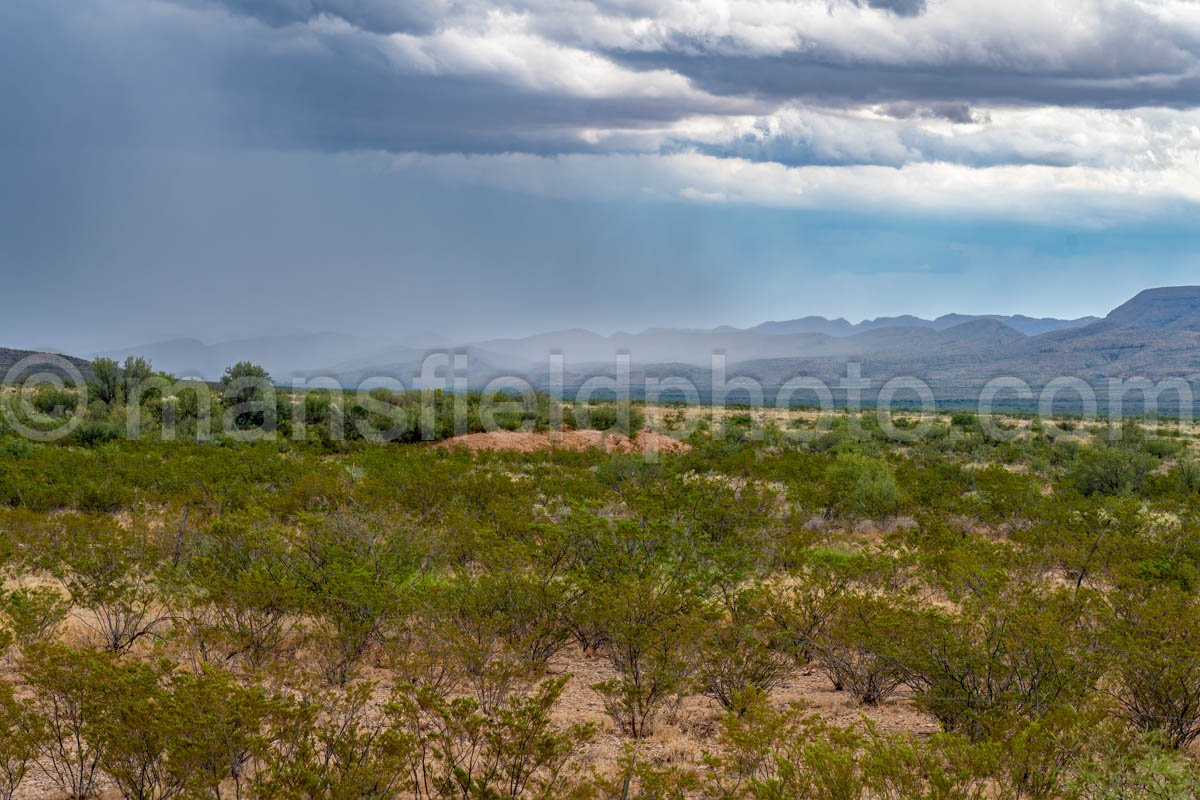 Big Bend National Park, TX A4-18714