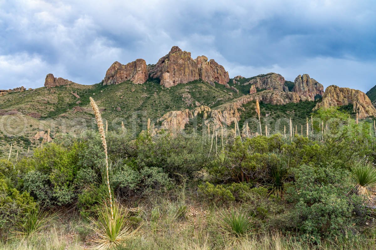 Chisos Mountains, Big Bend A4-18764