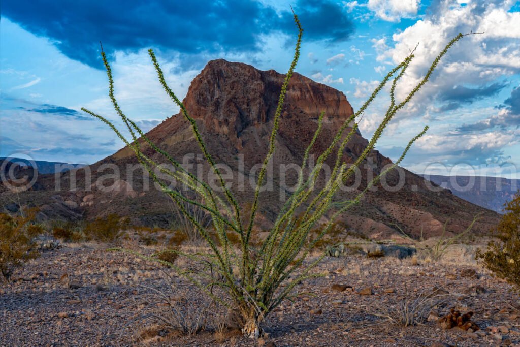 Cerro Castellan A4-18848 - Mansfield Photography