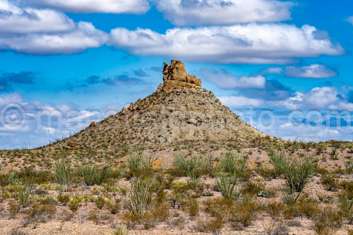 Big Bend National Park, TX A4-18921