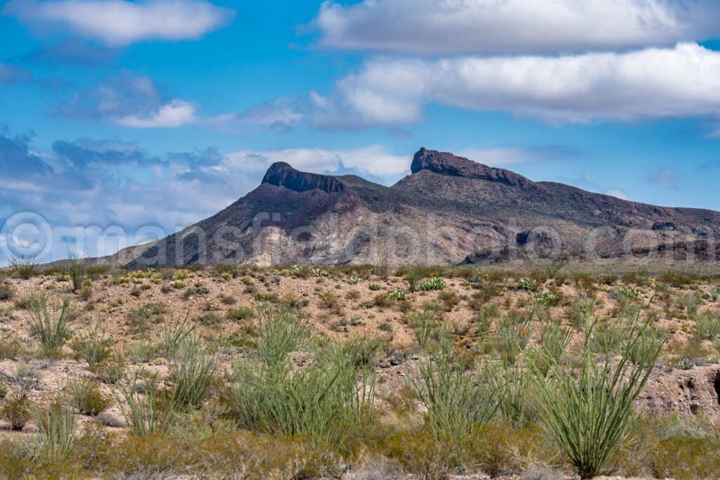 Big Bend National Park, TX A4-18924 - Mansfield Photography