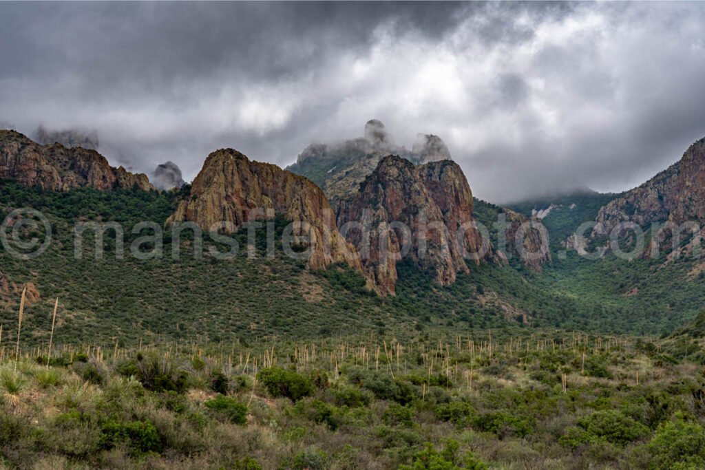 Chisos Mountains A4-18936 - Mansfield Photography