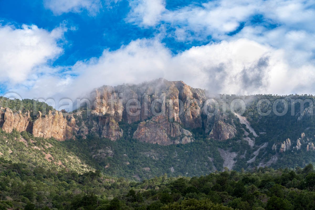 Chisos Mountains A4-18971