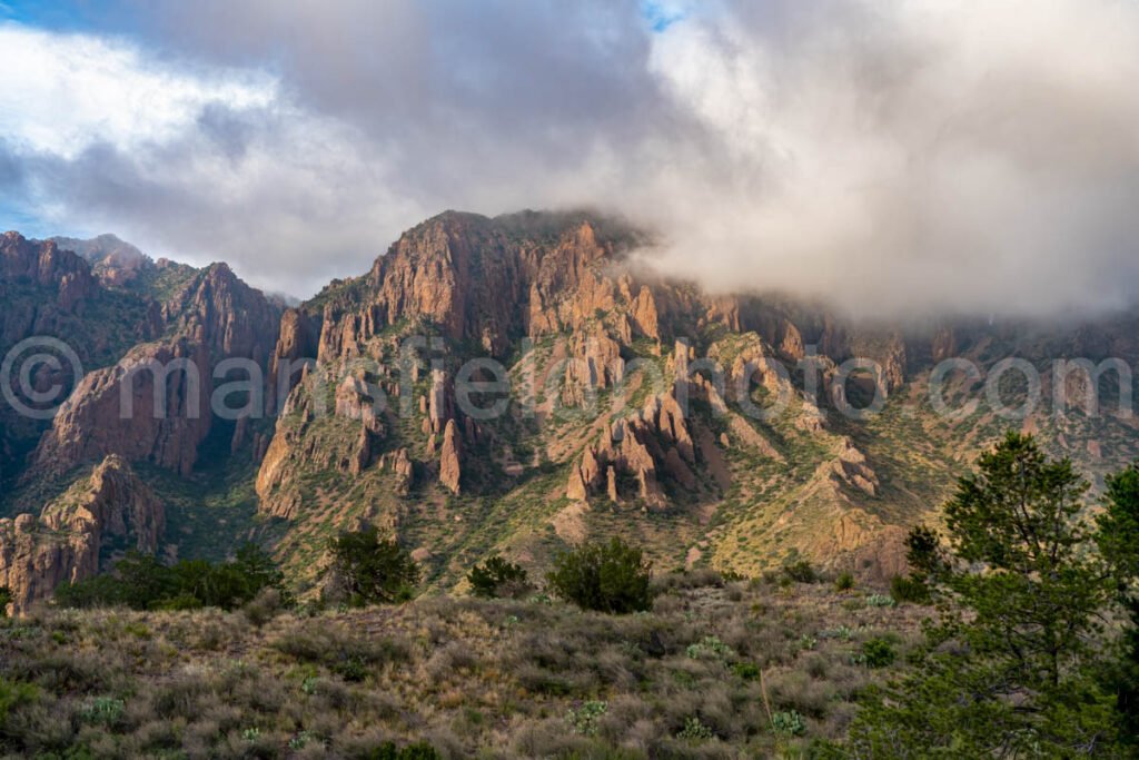 Chisos Mountains A4-19015 - Mansfield Photography