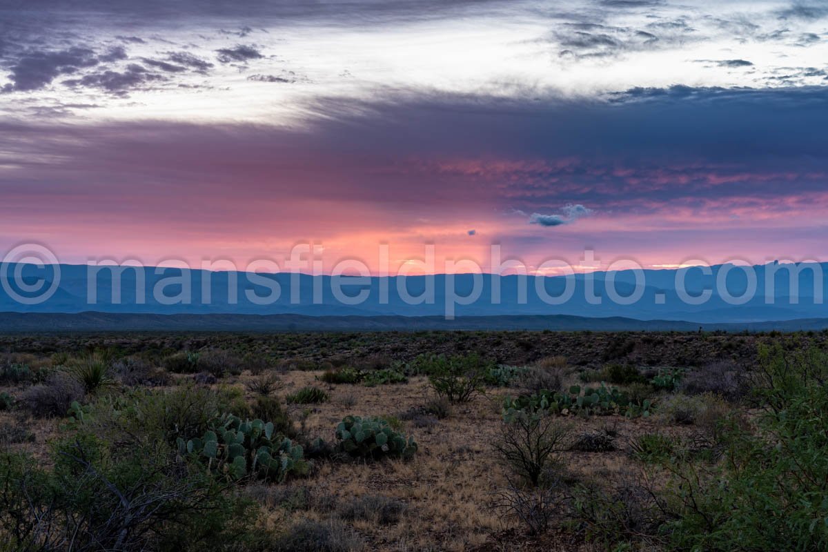 Big Bend National Park, TX A4-19067