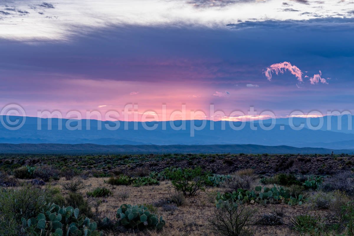 Big Bend National Park, TX A4-19073