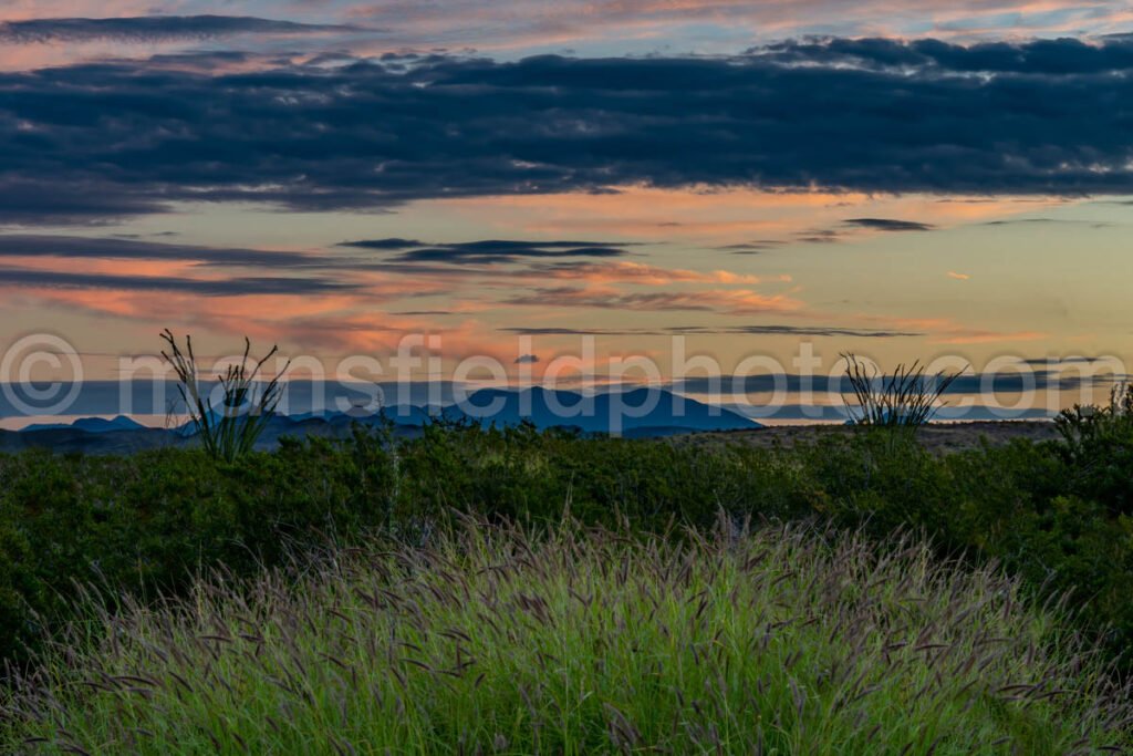 Desert Sunrise, Big Bend National Park, Texas A4C-03834 - Mansfield Photography