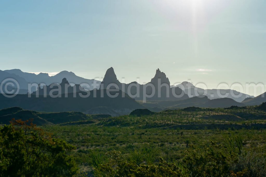 Mule Ears, Big Bend National Park, Texas A4C-03891 - Mansfield Photography