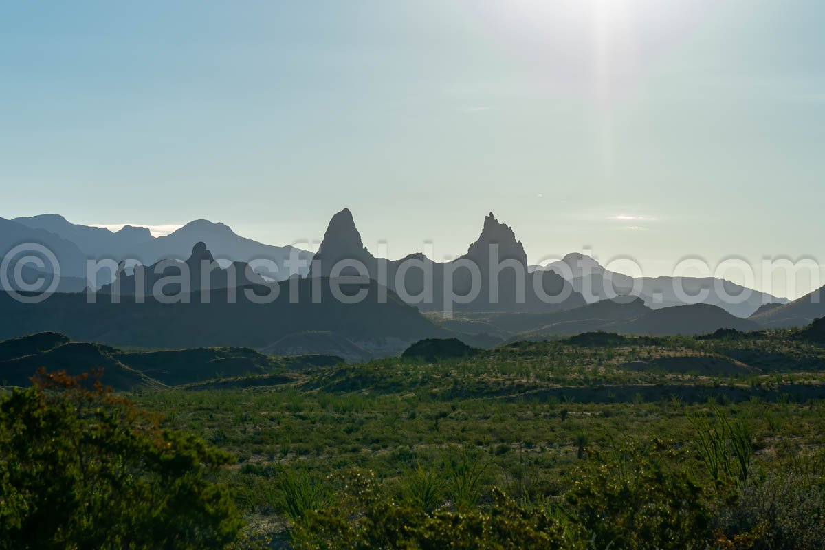 Mule Ears, Big Bend National Park, Texas A4C-03891