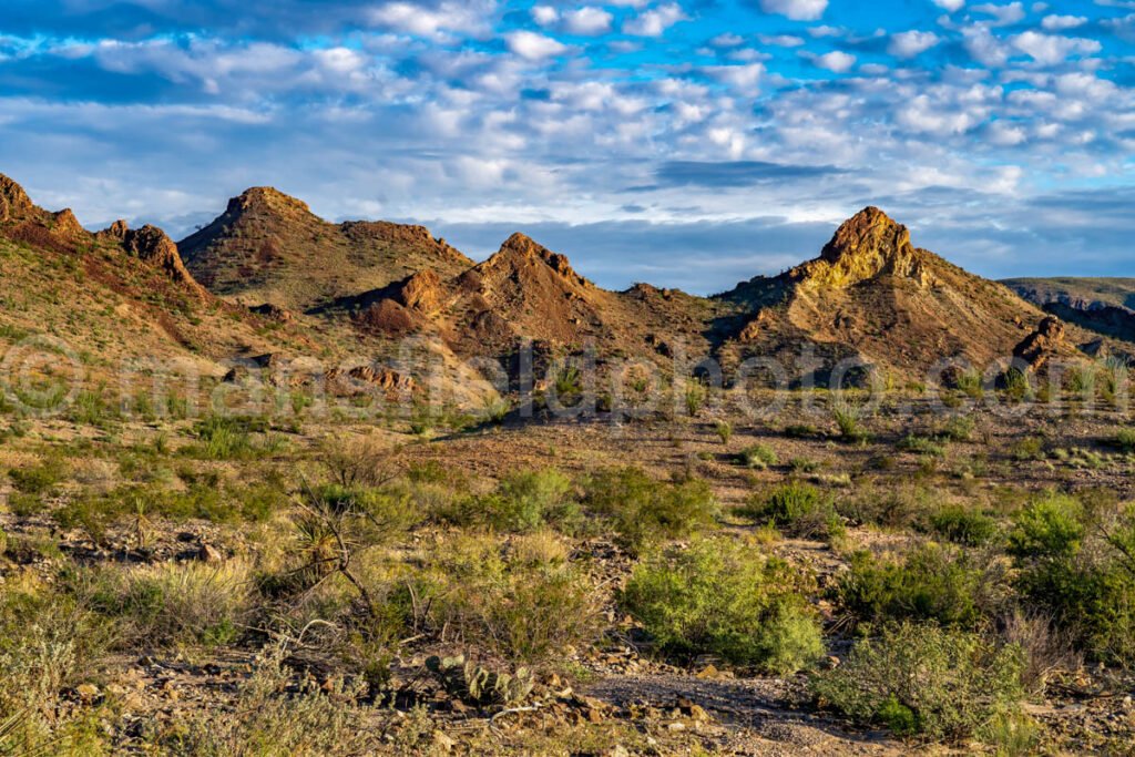 Big Bend National Park, Texas A4C-03894 - Mansfield Photography