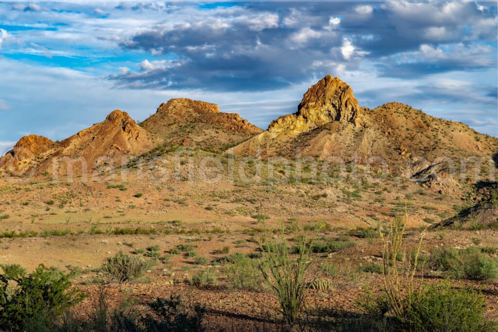 Big Bend National Park, Texas A4C-03896 - Mansfield Photography