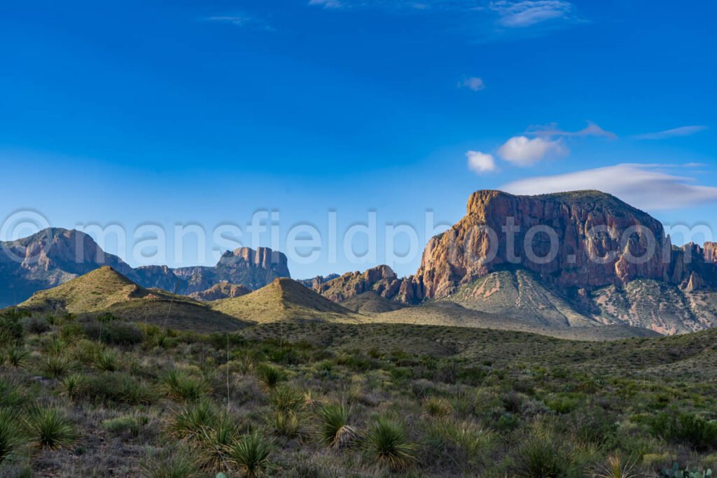 Big Bend National Park, Texas A4C-03907 - Mansfield Photography