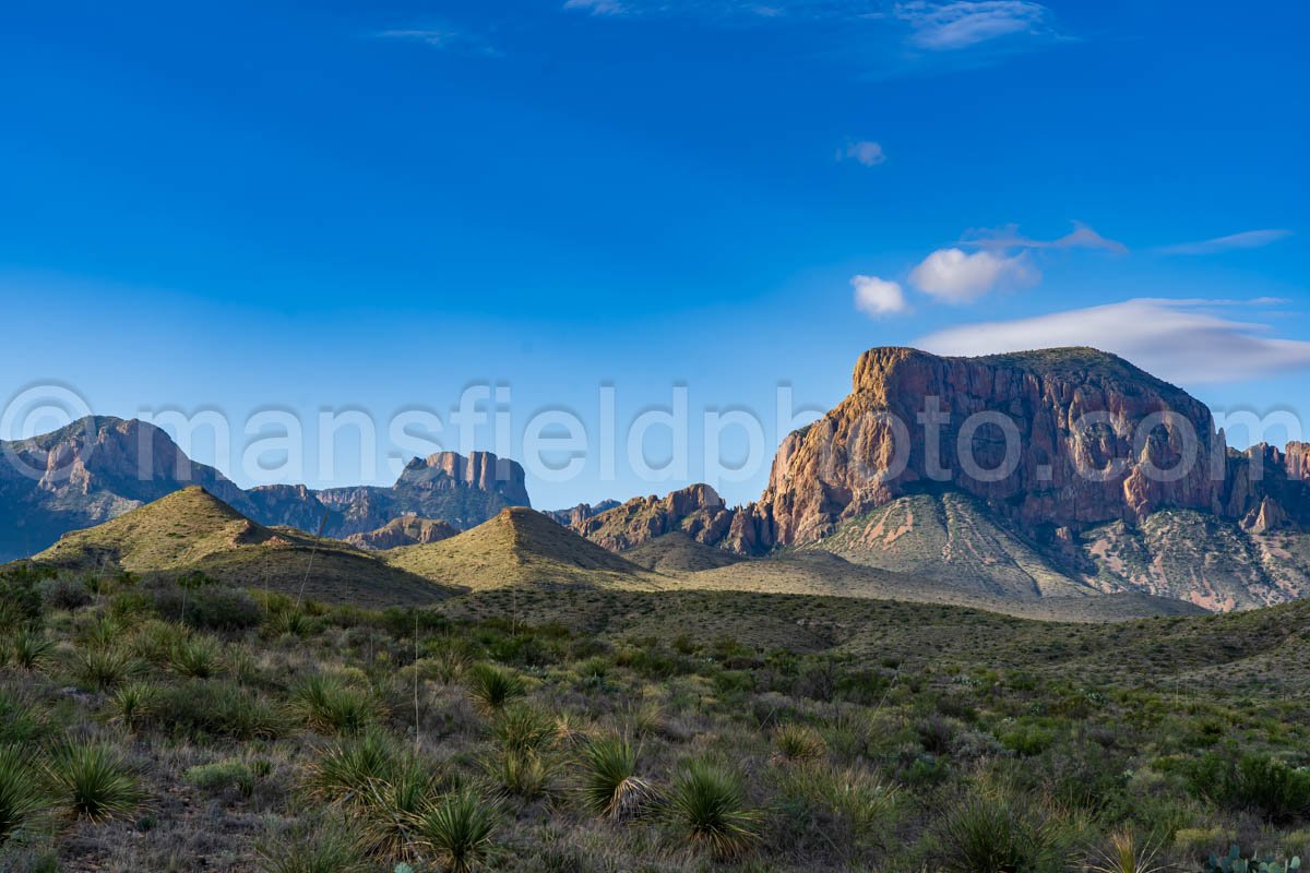 Big Bend National Park, Texas A4C-03907