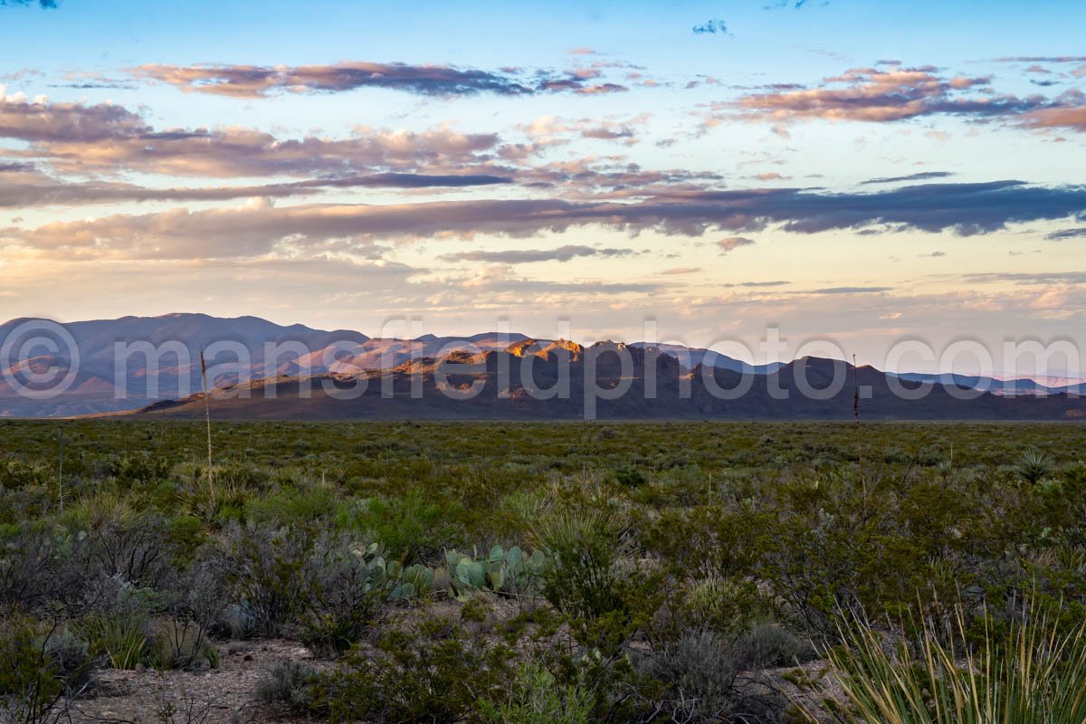 Desert Sunset, Big Bend National Park, Texas A4C-03998