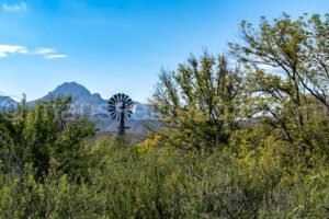 Sam Nail Ranch, Big Bend National Park, Texas A4C-04143 - Mansfield Photography