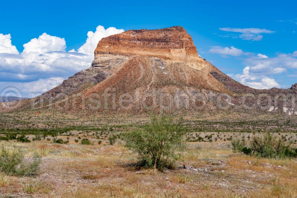 Big Bend National Park, Texas A4C-04282 - Mansfield Photography