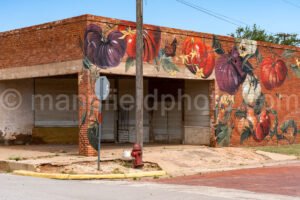 Merkel, Texas A4-21350 - Mansfield Photography