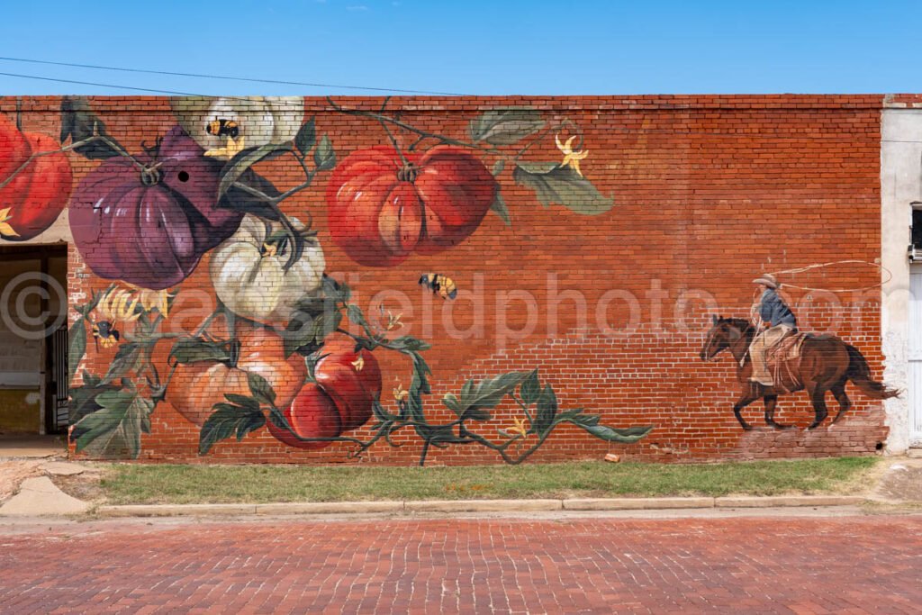 Merkel, Texas A4-21351 - Mansfield Photography