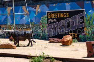 Roscoe, Texas A4-21406 - Mansfield Photography