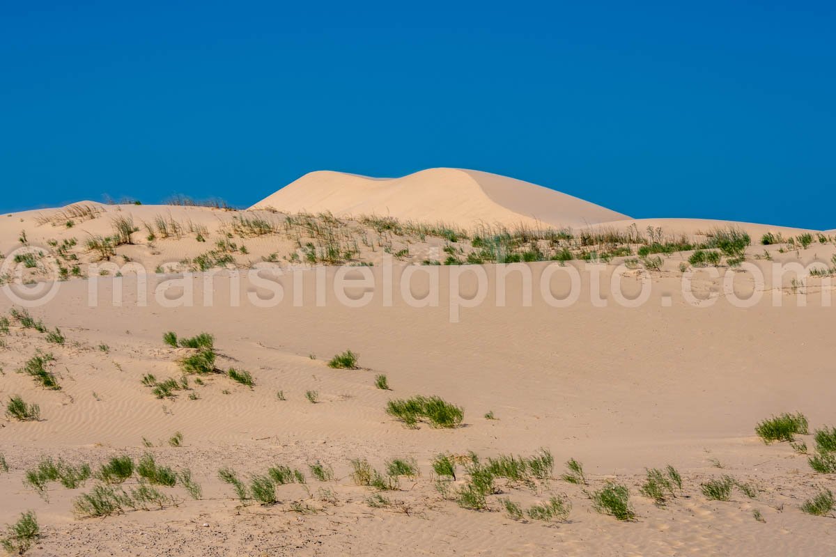 Monahans Sandhills State Park A4-21507