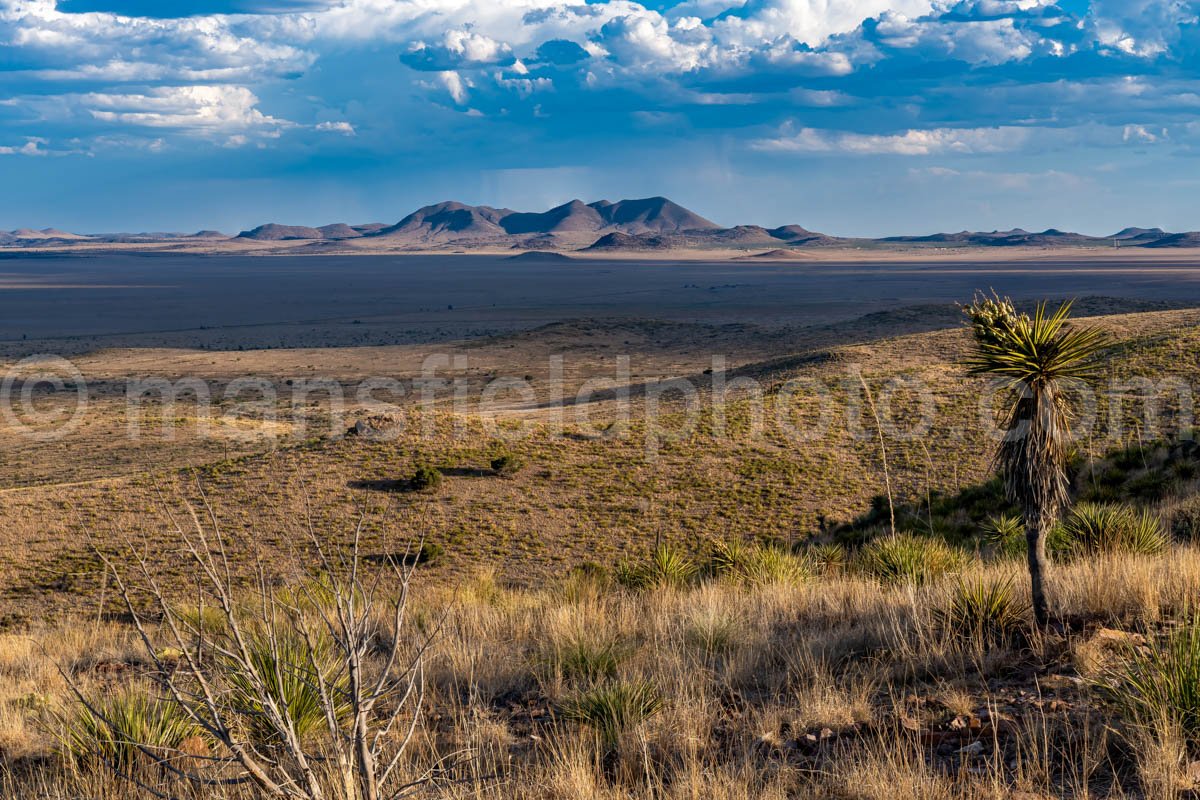 Puertacitas Mountains, Texas A4-21607