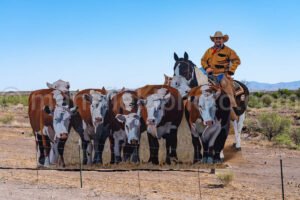 Marfa, Texas, Giant Marfa Mural A4-21813 - Mansfield Photography
