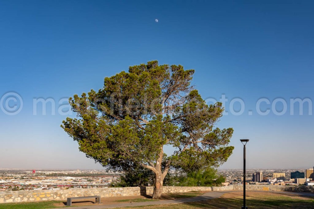 El Paso, Texas A4-21888 - Mansfield Photography